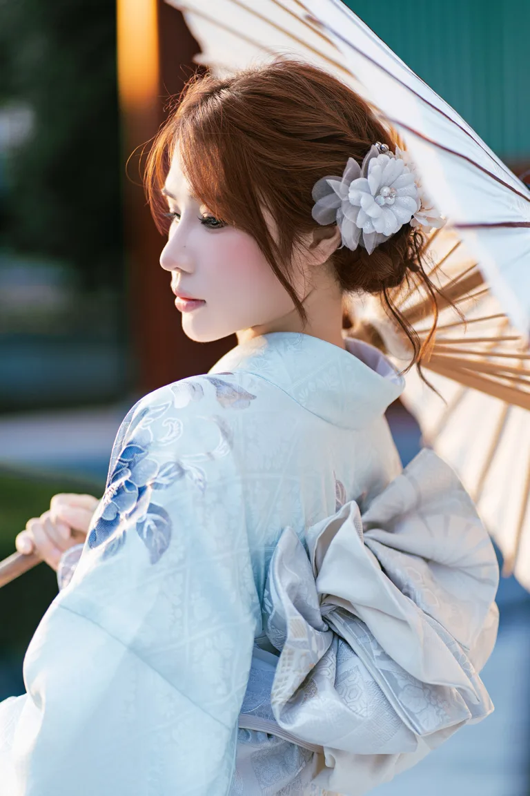Premium Furisode — style 19