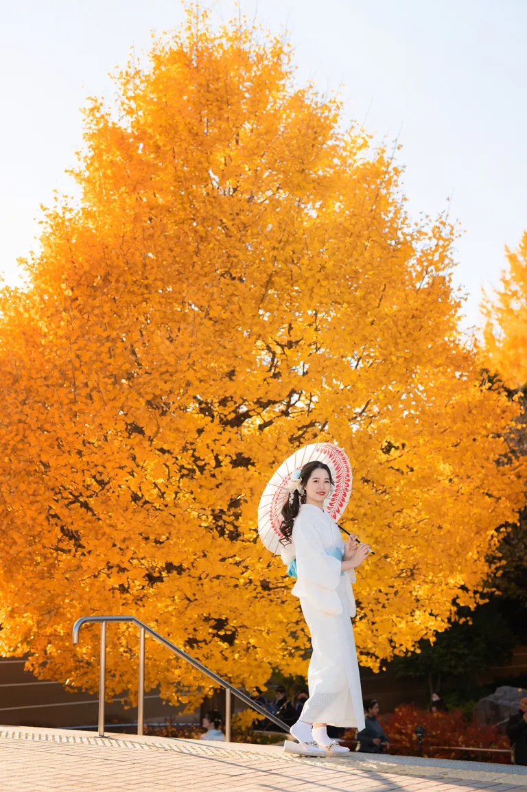 Lace Kimono — style 13