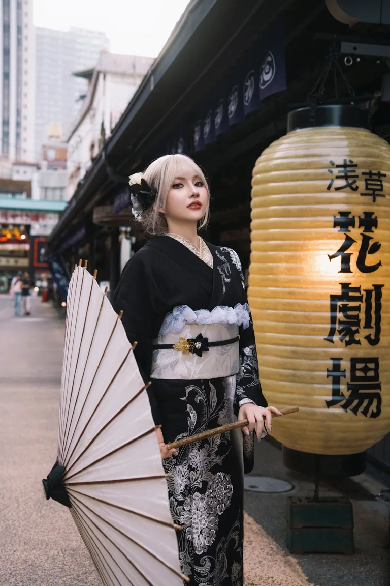 Premium Houmongi — style 17