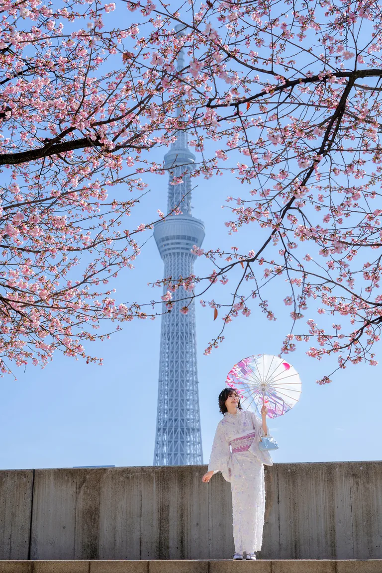 Lace Kimono — style 26